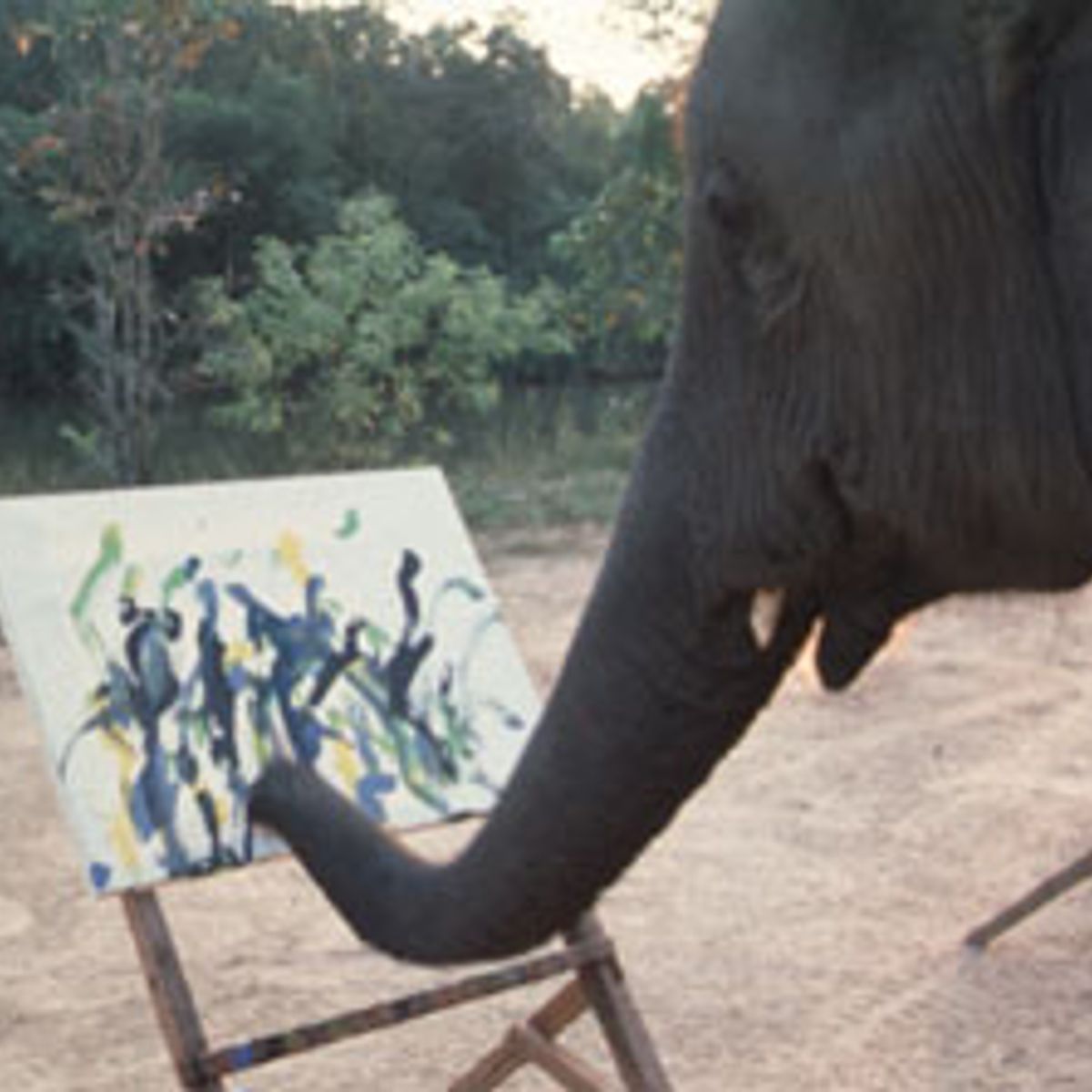 Why Do Elephants Paint Salon Com