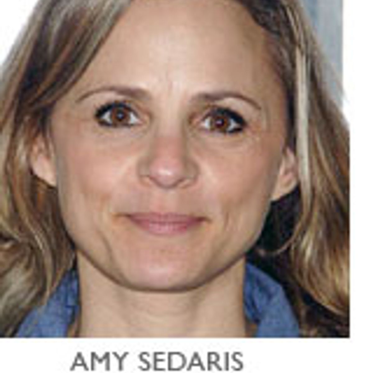 Conversations Amy Sedaris Salon Com