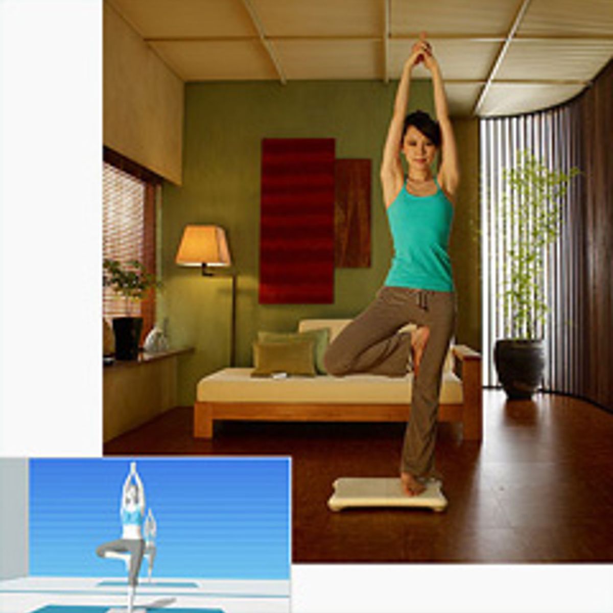 wii fit fitness