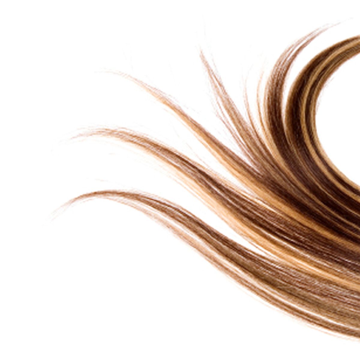 My Tiny Hypocrisy The Brazilian Blowout Salon Com