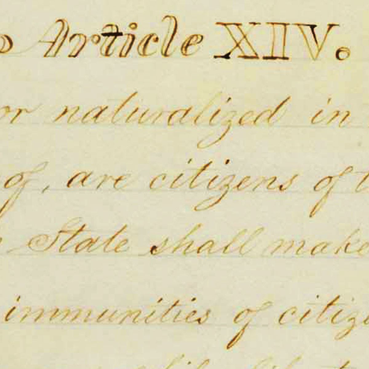 The 14th Amendment Illusion Salon Com