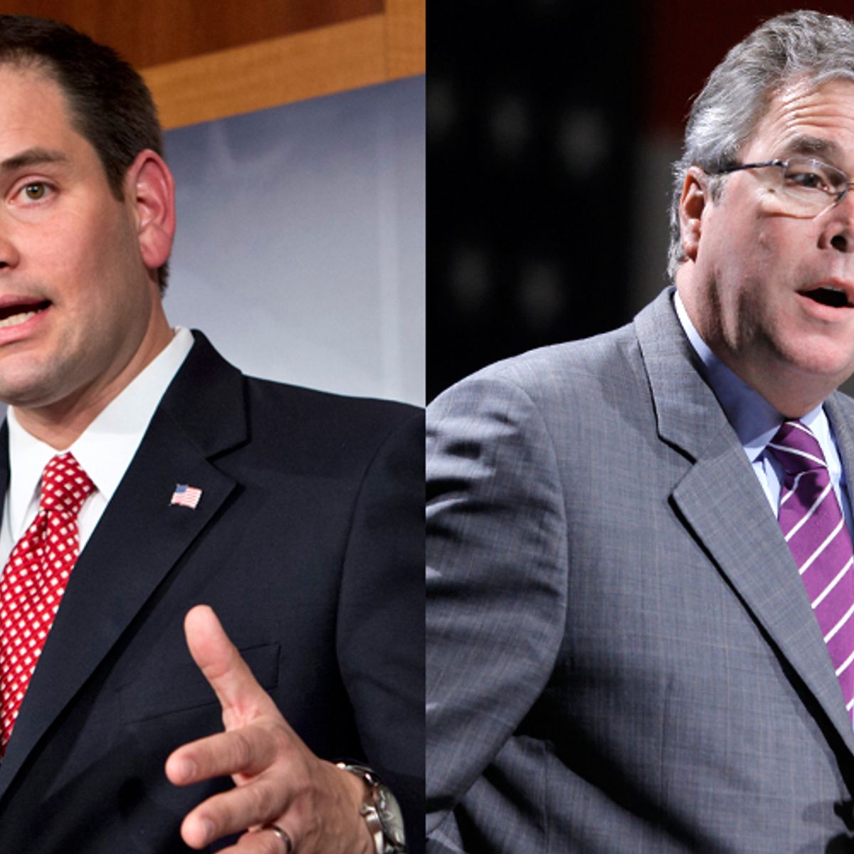 Marco Rubio Vs Jeb Bush Salon Com