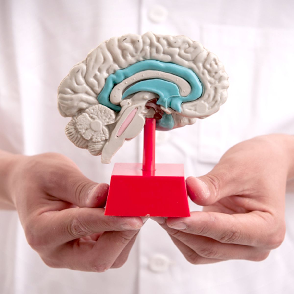 Scientists Have Learned To Make Brain Tissue 100 Times Bigger