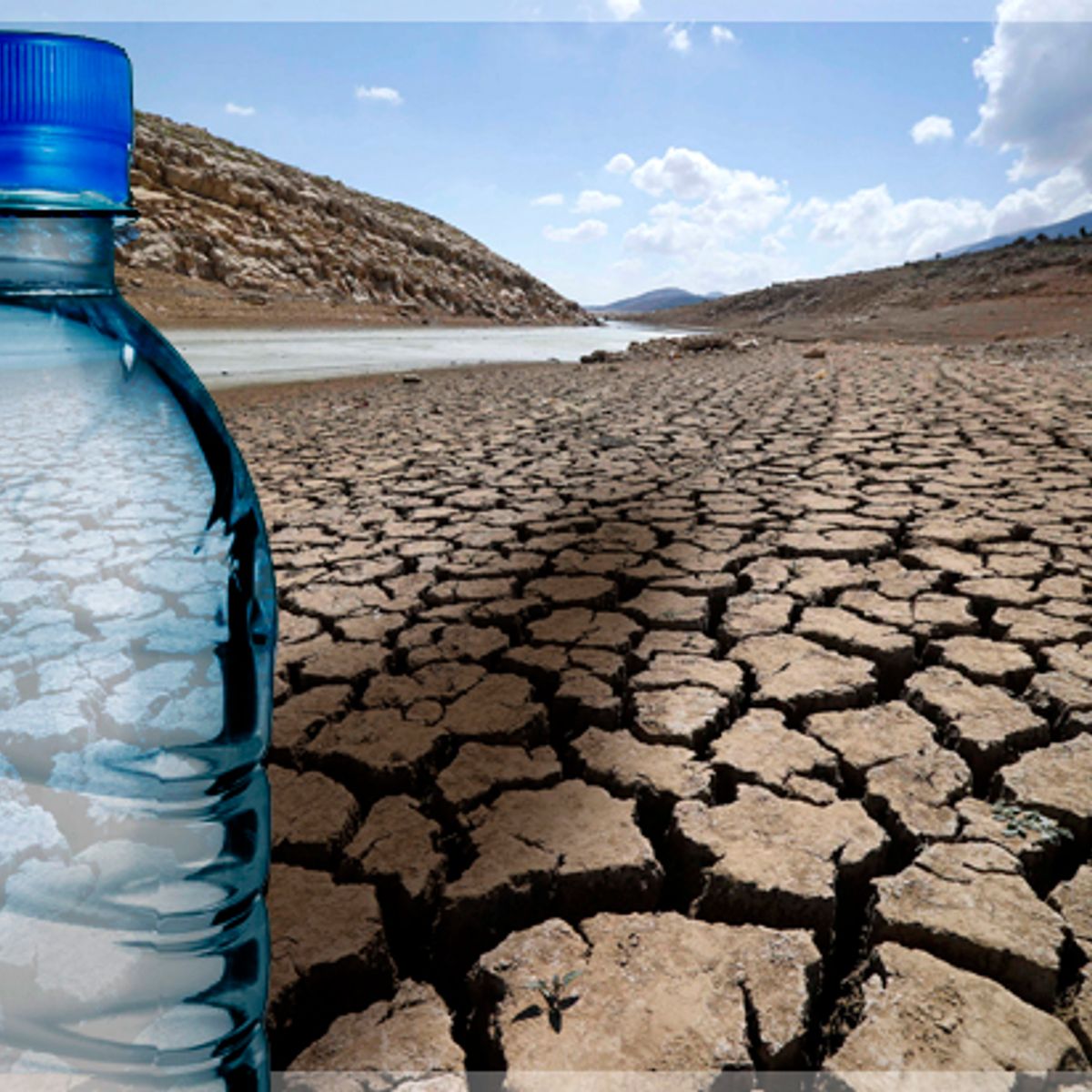 Nestle S Despicable Water Crisis Profiteering How It S Making A
