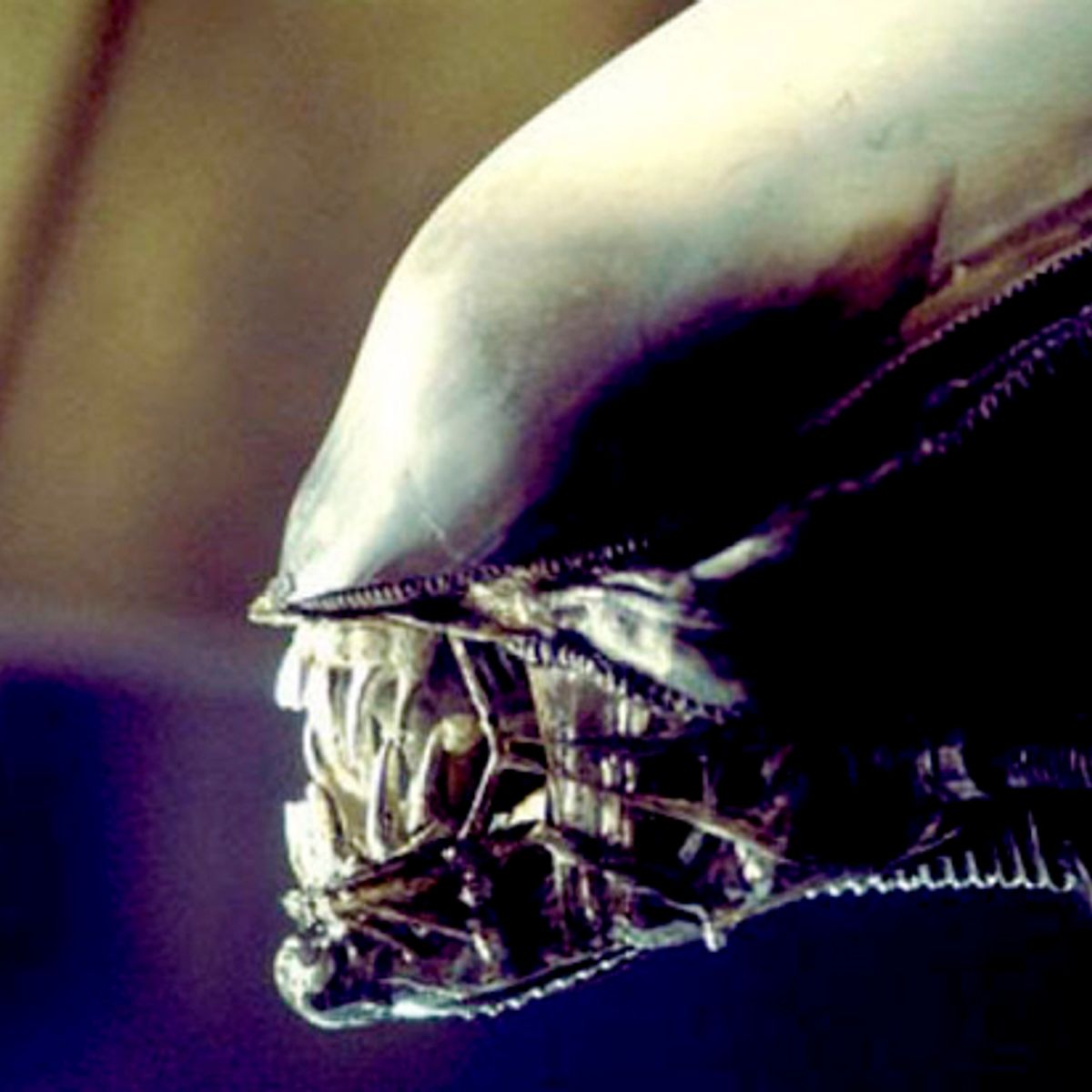 Libertarians In Space Is Alien Covenant A Parable About The Privatization Of Space Salon Com