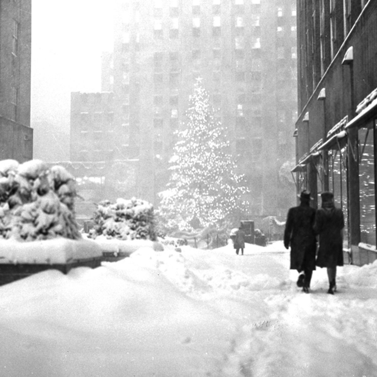 A Bluesy Winter Night In New York With Slim Harpo Salon Com