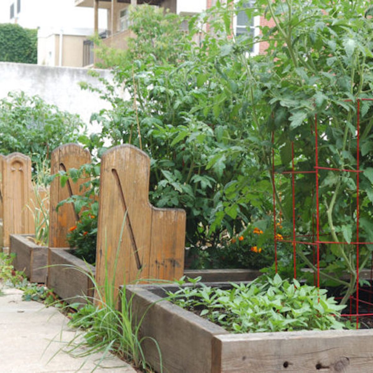 How To Start An Urban Farm English Edition Book Read Online Tell