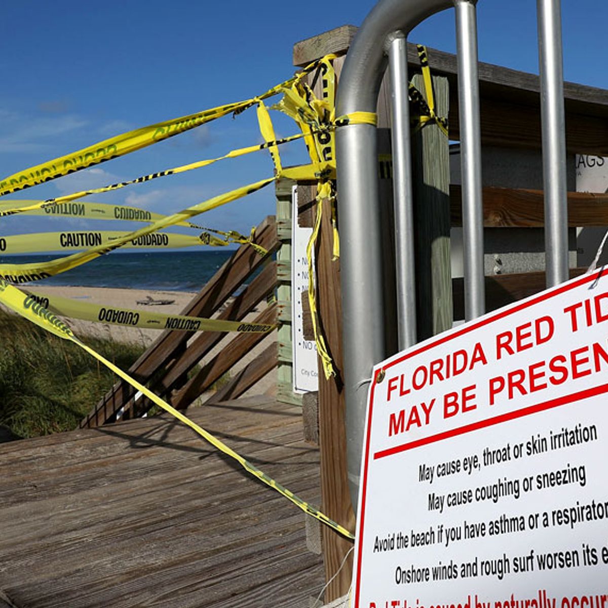 As Temperatures Rise Toxic Algae Blooms Paint Florida Coast Red