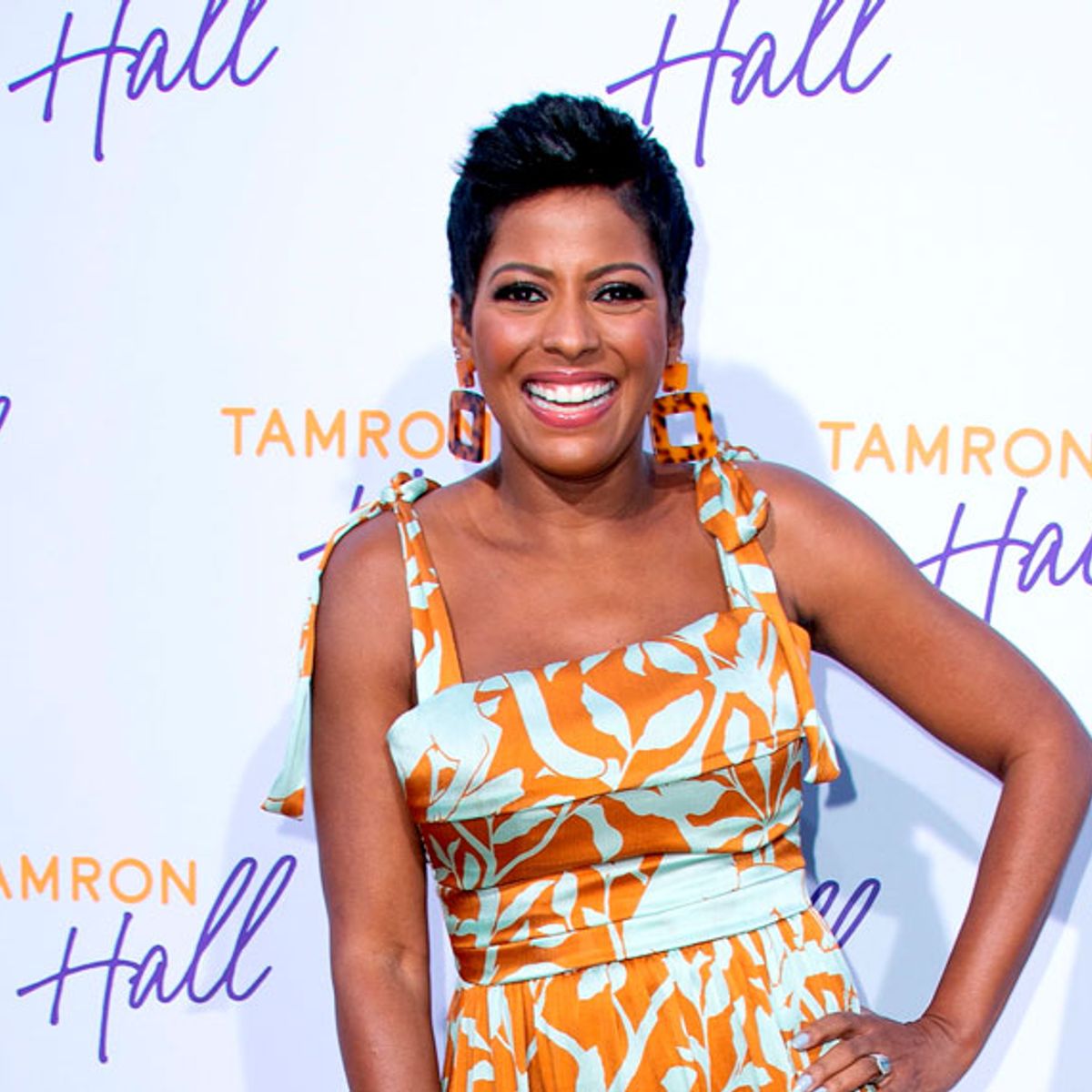 Tamron Hall Married Steven Greener Tamron Hall And Husband