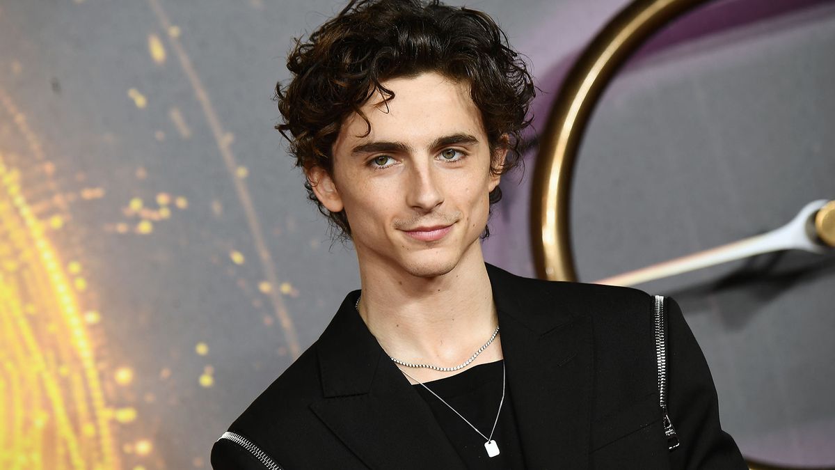 Timothée Chalamet: Everything you could possibly need to know about the  Oscar-nominated actor