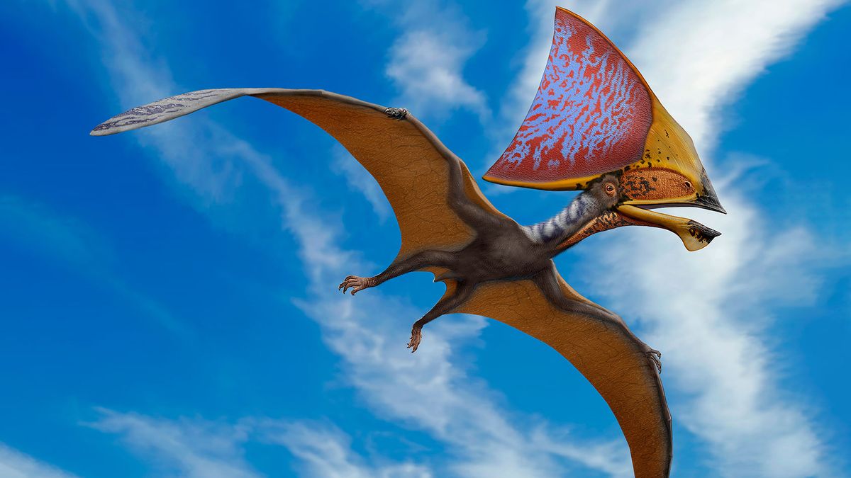 Flying Pterodactyls Cretaceous Period