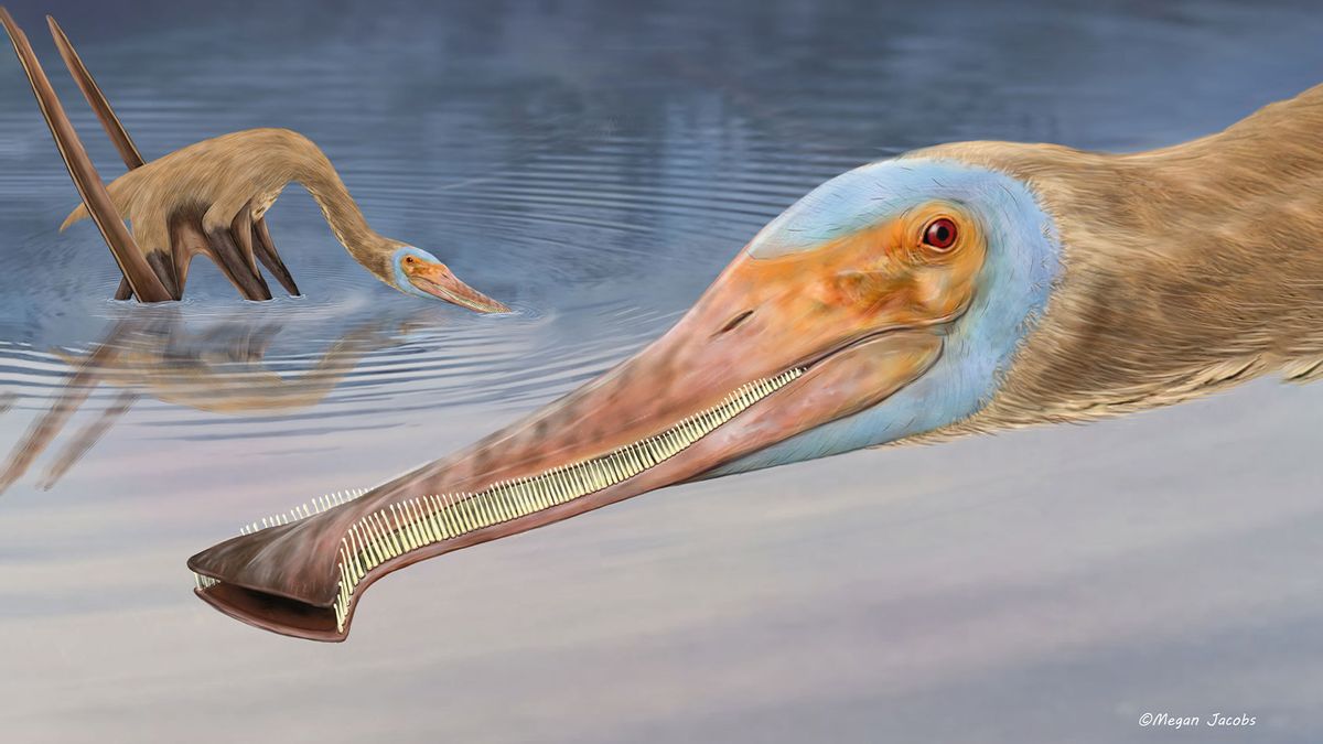 10 Interesting Pterodactyl Facts