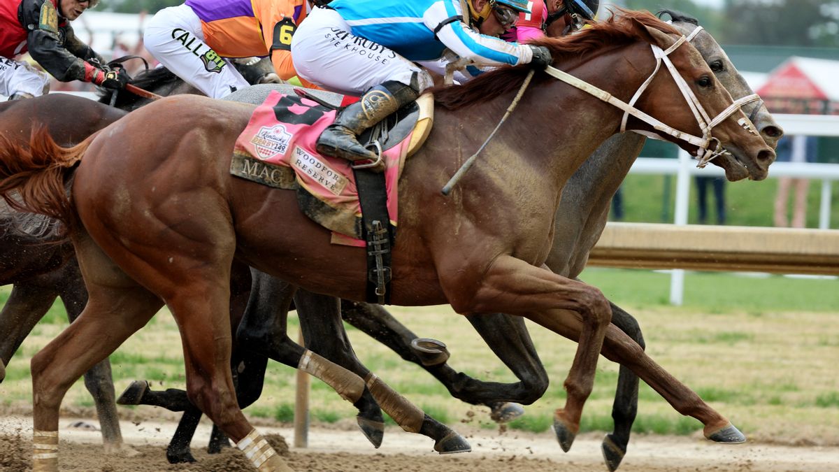 Racehorse deaths aren't a mystery: We've known all along why they