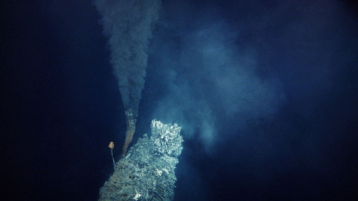 Deep-Sea Mining Could Begin Soon, Regulated or Not