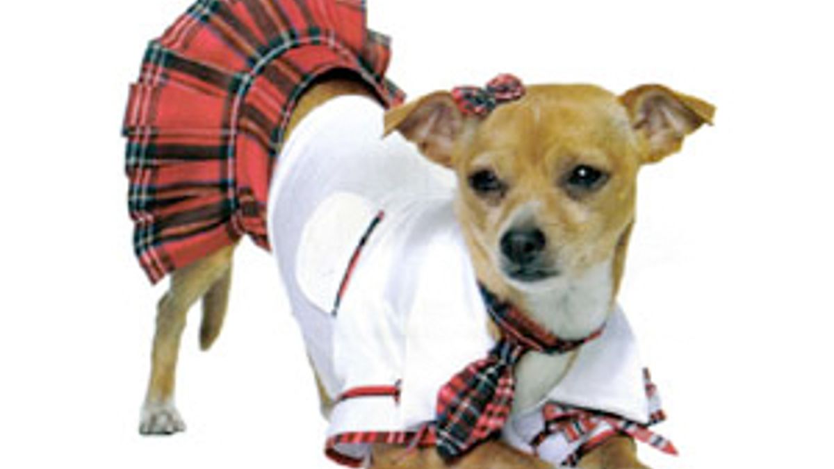 Inappropriate shop dog costumes