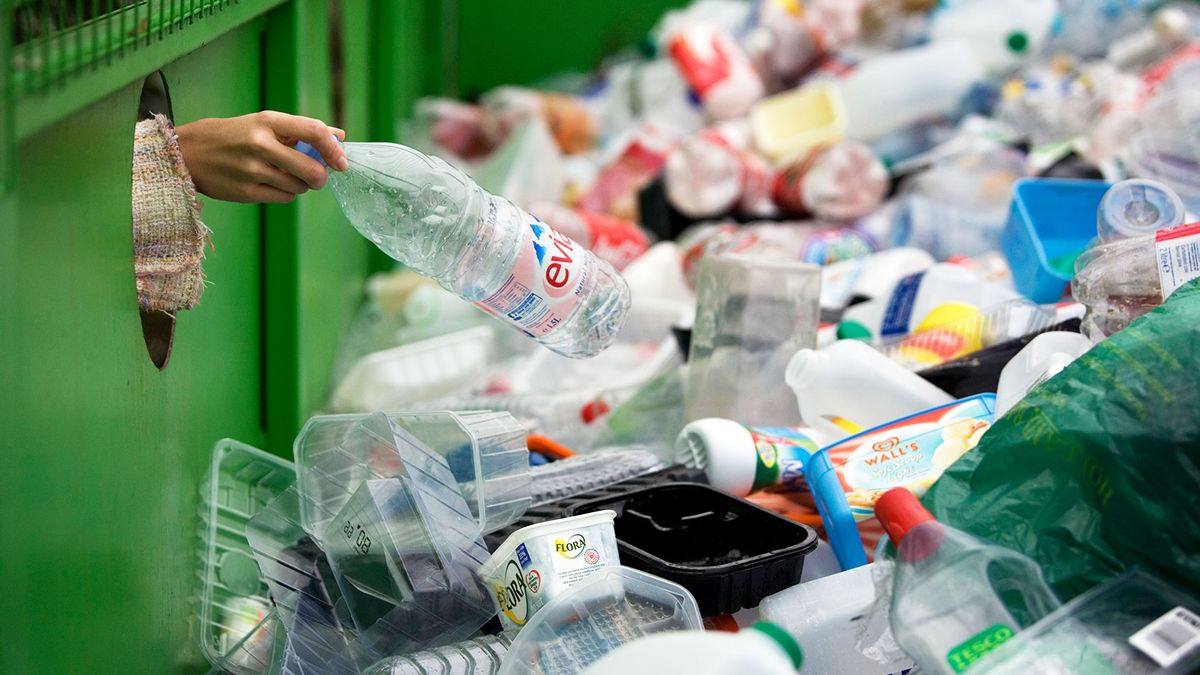 Plastic Forte duplica su facturación en cinco años y ya roza los 65  millones - Información