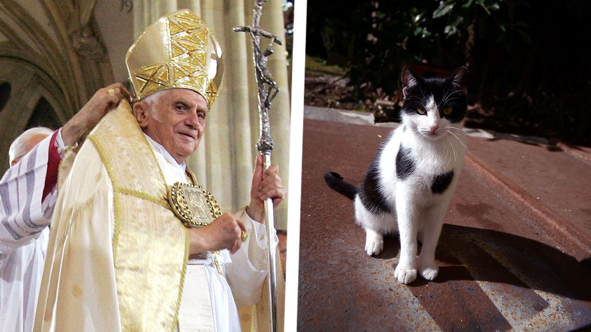 Can the Pope have a pet?