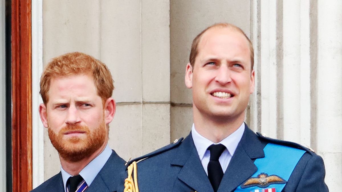 William "came at me": Harry details getting knocked down in violent attack  by brother | Salon.com