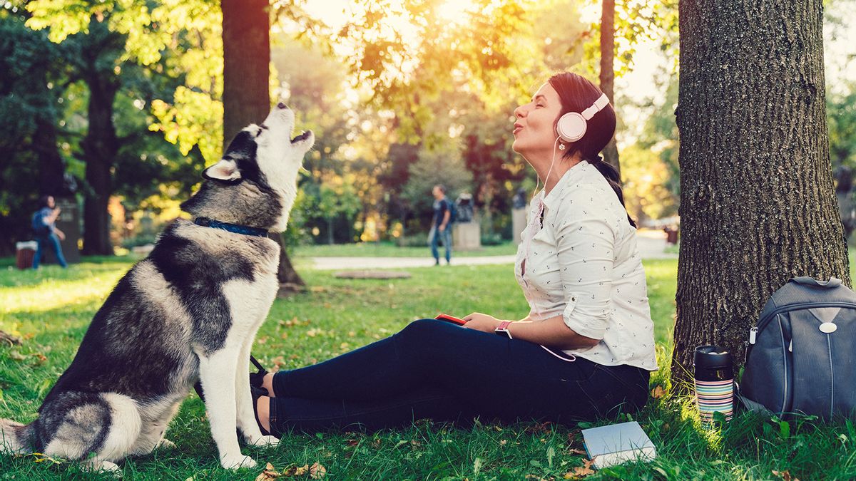 Dog singing sales to music