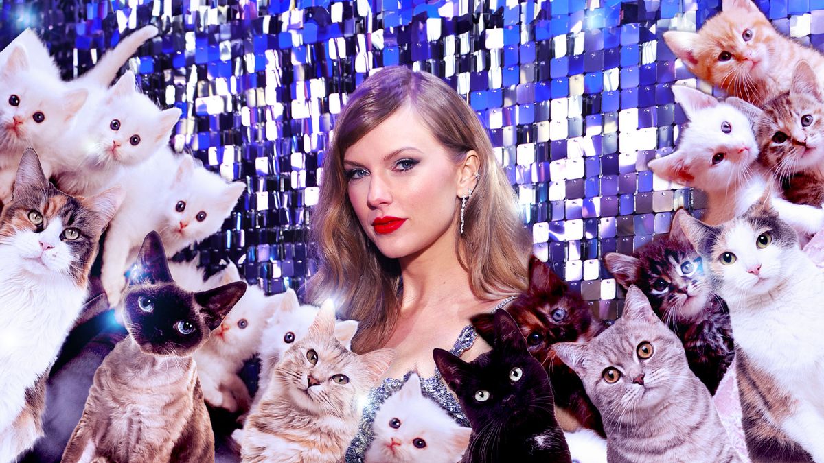 Taylor Swift gets it: Cats are better than (some) men | Salon.com