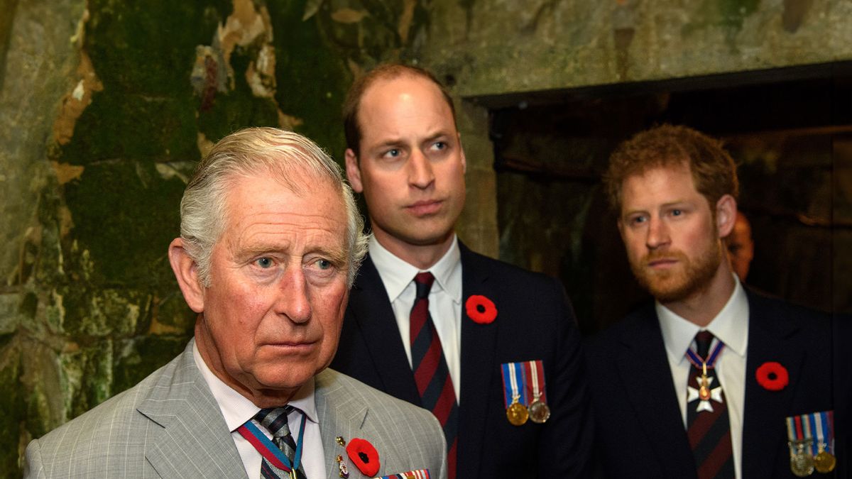 King Charles III snubs Prince Harry, gives William his military title | Salon.com