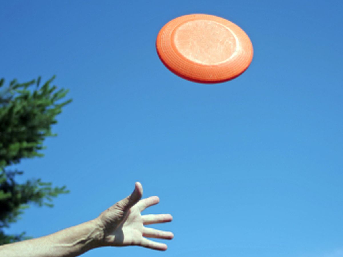 back to the future frisbee