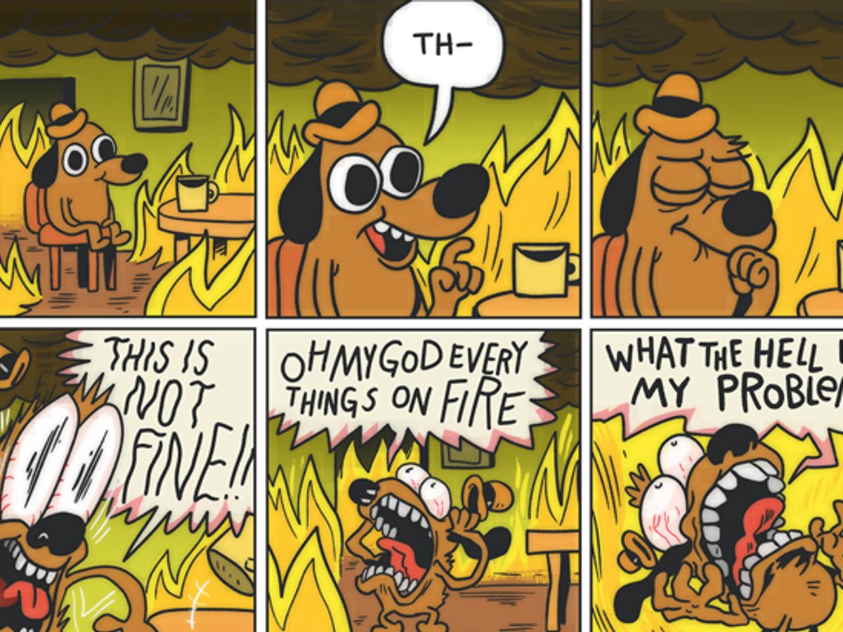 Everything is fine. Dog on Fire.