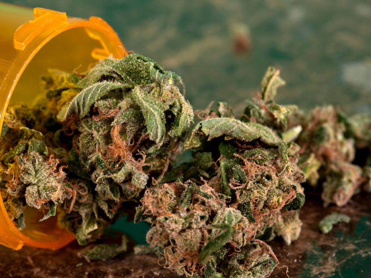 Study: Marijuana use increases, shifts away from illegal market - UW News