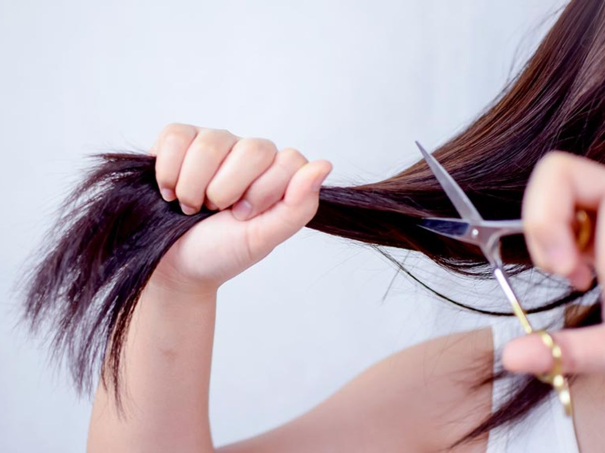 how to cut top of hair with scissors