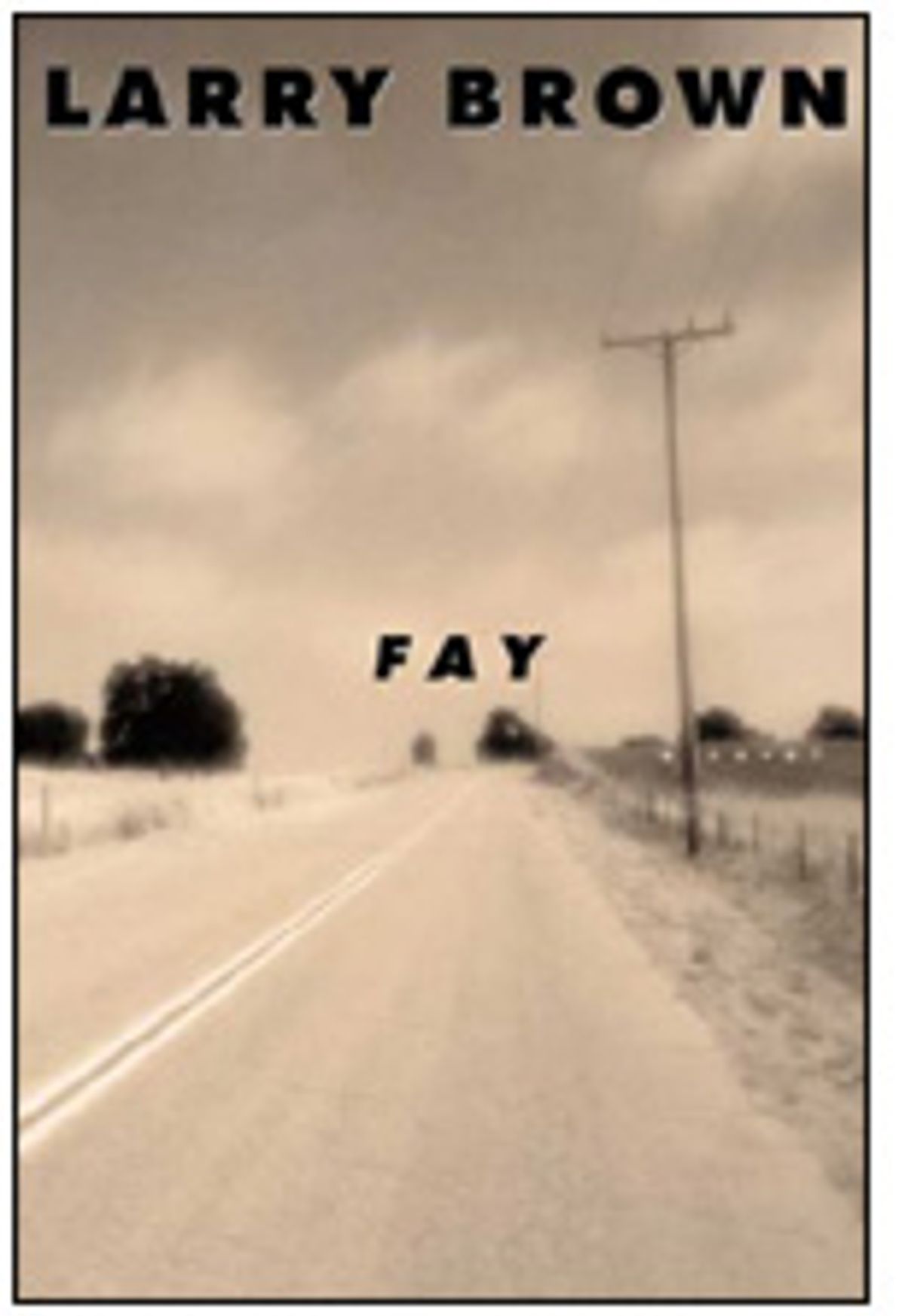 Fay By Larry Brown Salon Com