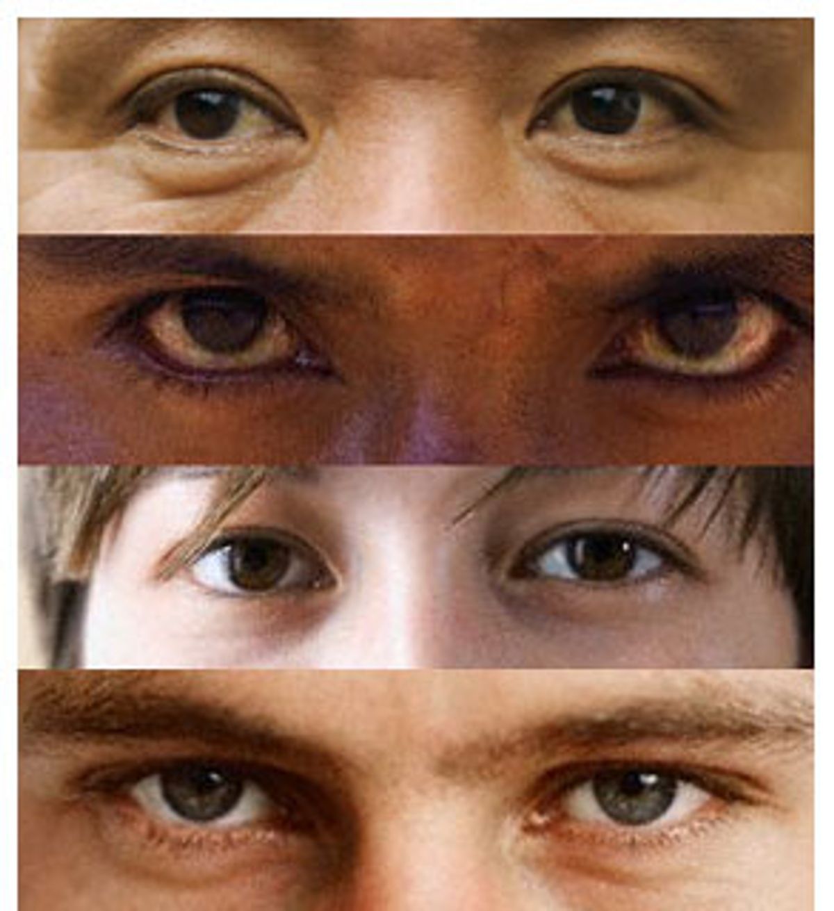 Узкий разрез глаз какая раса. Разрез глаз у разных рас. Разрез глаз у разных расс. Разрез глаз расы. Форма глаз у разных рас.