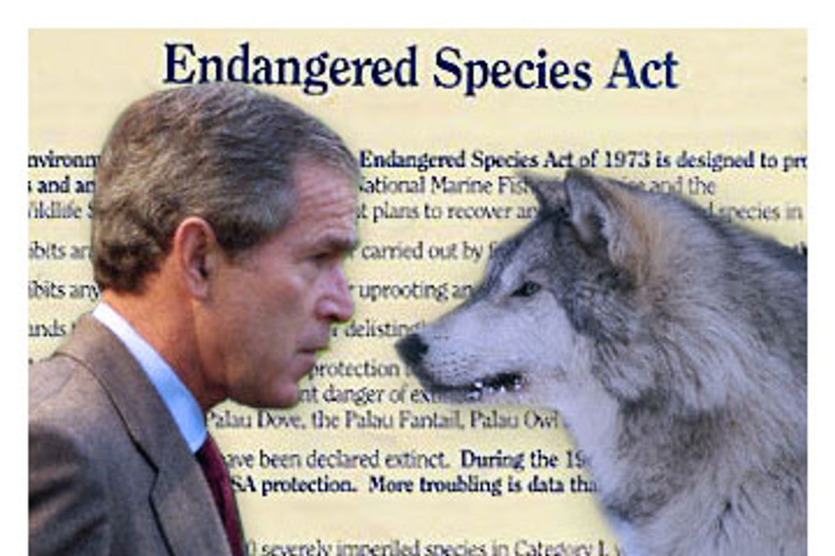 Endangered Species Act Commentary Paper