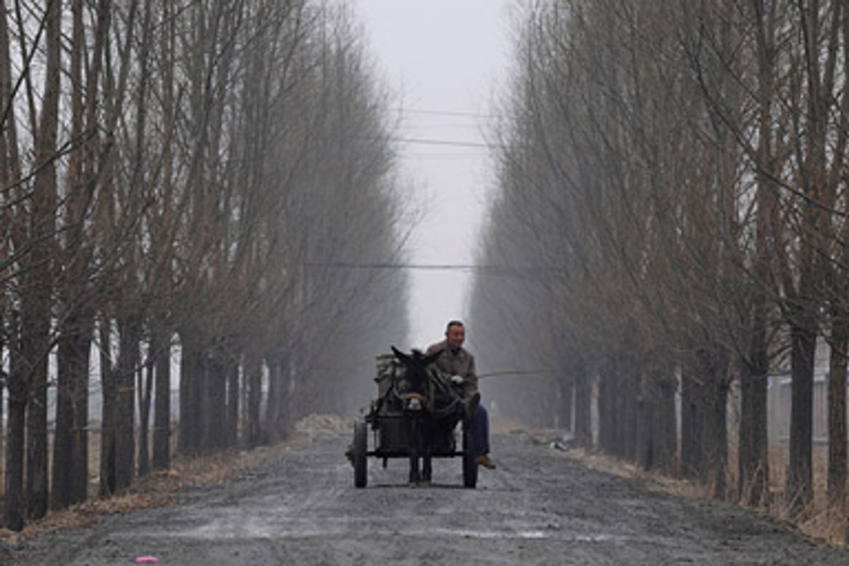 A farmer rides on a donkey cart on the outskirts of Changzhi, Shanxi province March 4, 2009.