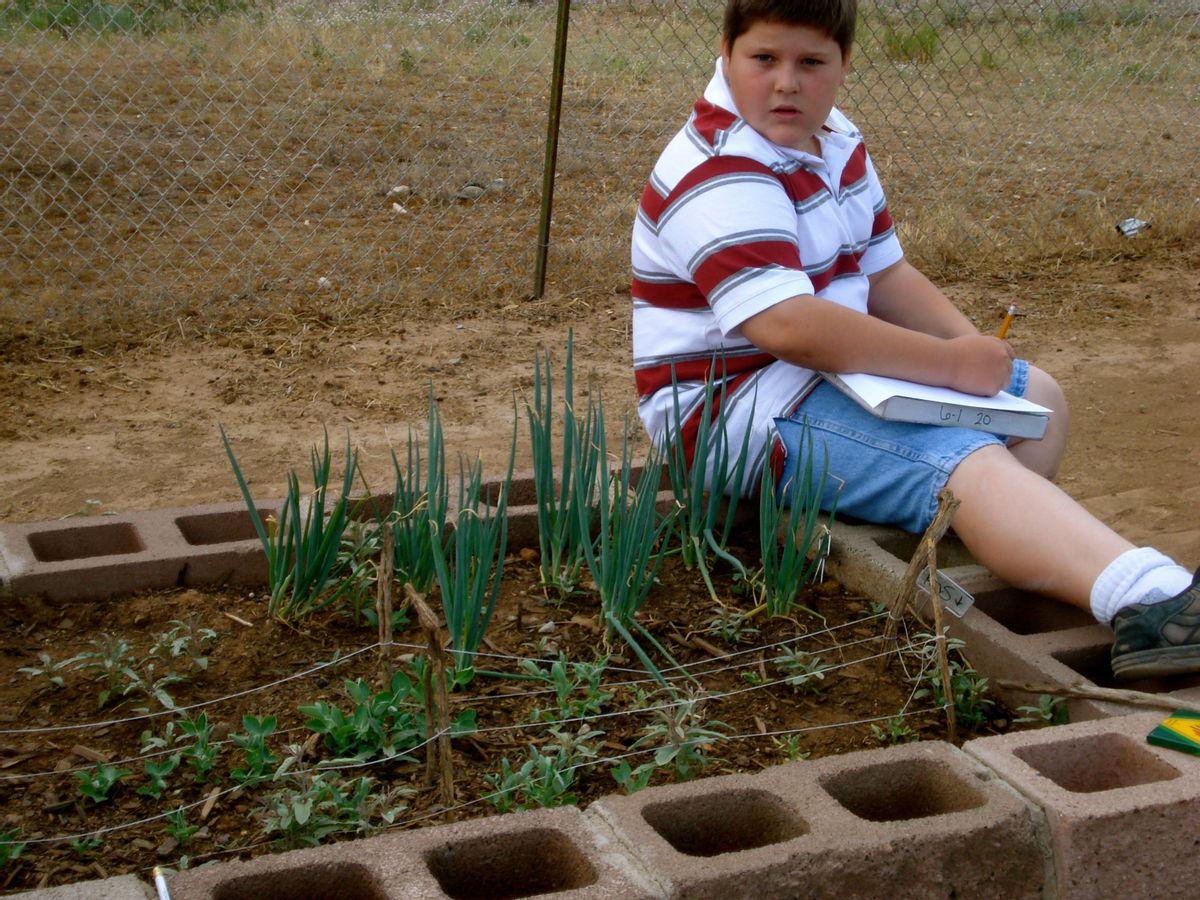A student in Novoselick's school garden           