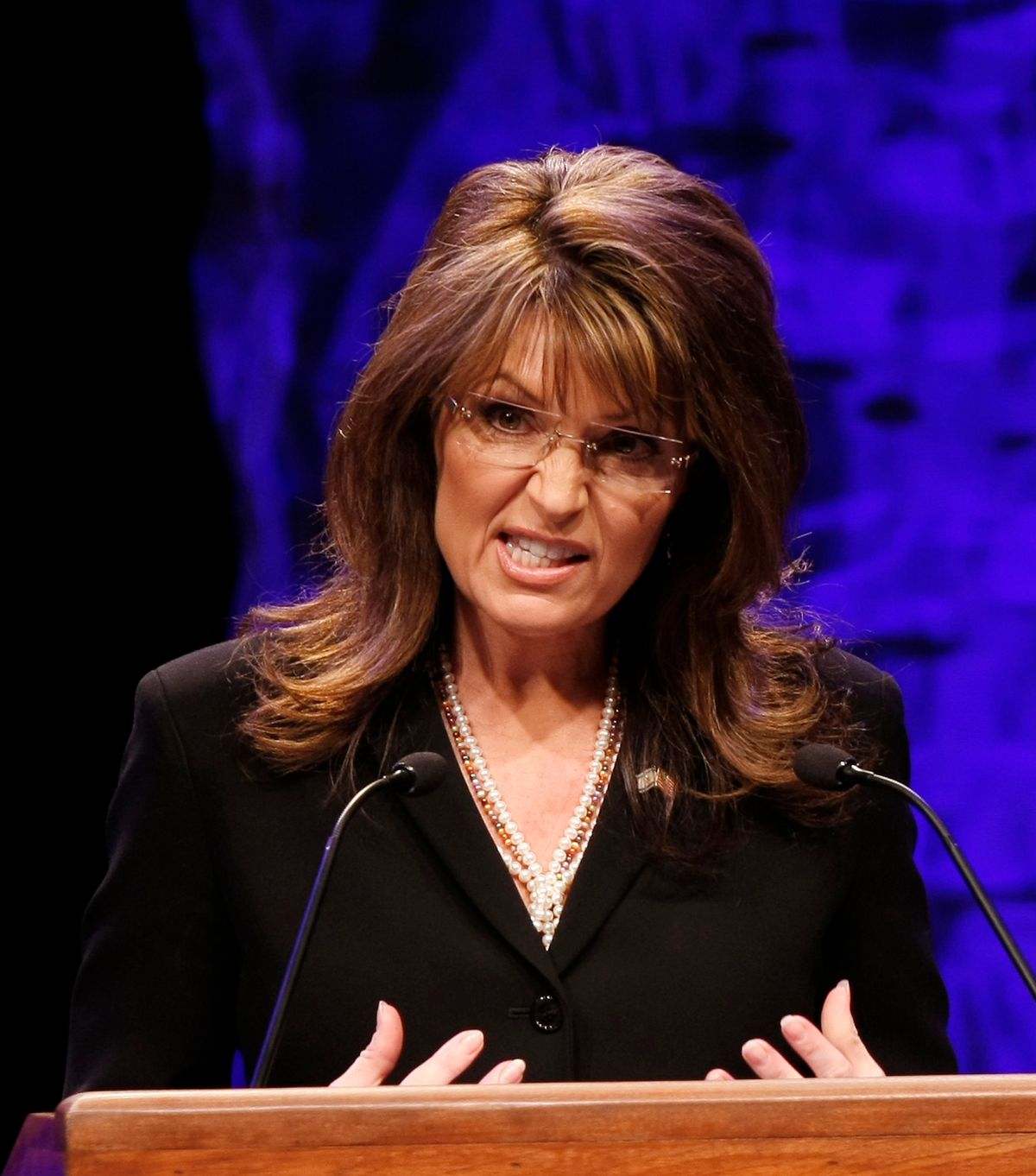 Former vice presidential candidate Sarah Palin addresses attendees at the National Tea Party Convention in Nashville, Saturday, Feb. 6, 2010.  (AP Photo/Ed Reinke) (Ed Reinke)
