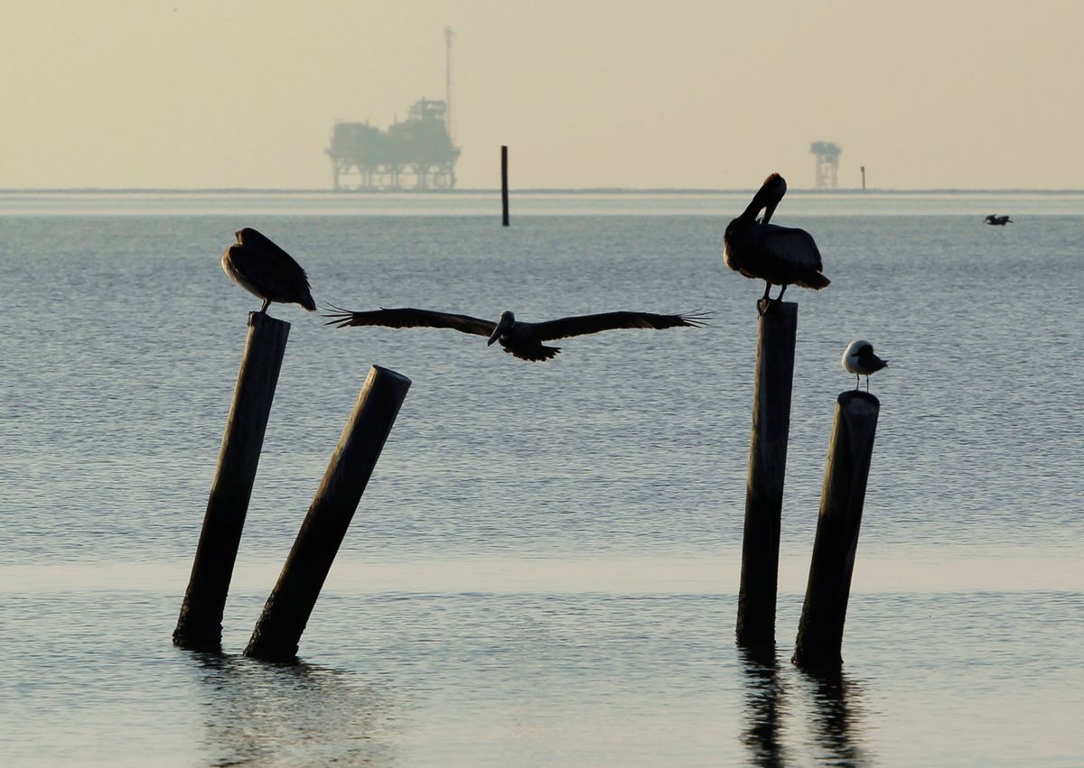 Pelicans sit on pilings along the Dauphin Island Parkway, Alabama May 5, 2010. A flotilla of boats tackled a massive oil slick in the Gulf of Mexico on Tuesday, taking advantage of calm weather to intensify the fight to reduce the spill and limit its impact on the U.S. shoreline.      REUTERS/Brian Snyder    (UNITED STATES - Tags: DISASTER ENERGY ENVIRONMENT) (Brian Snyder)