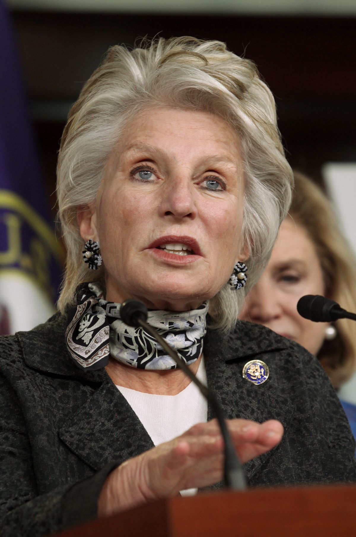 Rep. Jane Harman, D-Calif., speaks on women's issues in the health care bill on Saturday, March 20, 2010 on Capitol Hill in Washington. (AP Photo/Lauren Victoria Burke) (Associated Press)