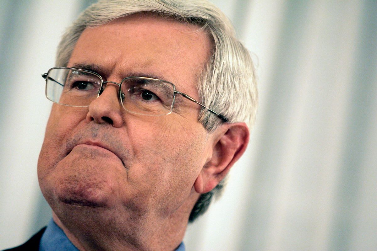 Former Speaker of the U.S House of Representatives Newt Gingrich addresses the Women's National Republican Club in New York, February 15, 2007.   REUTERS/Mike Segar (UNITED STATES)  (Â© Mike Segar / Reuters)