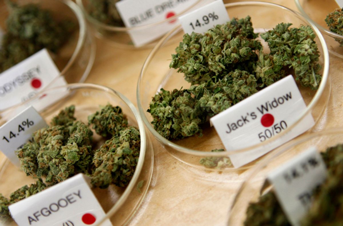 Marijuana buds, including their cost and degree of potency, are shown in a medical marijuana dispensary in Oakland, California June 30, 2010. Picture taken June 30, 2010.  REUTERS/Robert Galbraith  (UNITED STATES - Tags: SOCIETY)  (Reuters)