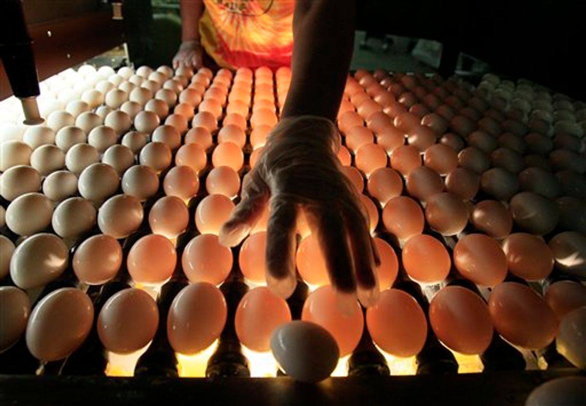 A United States Department of Agriculture inspector checks eggs at Maine Contract Farming, Thursday, July 1, 2010, in Turner, Maine.  New England's largest egg farm is taking steps to show it has improved care of its hens after reaching a settlement over allegations its birds were mistreated. (AP Photo/Robert F. Bukaty) (AP)