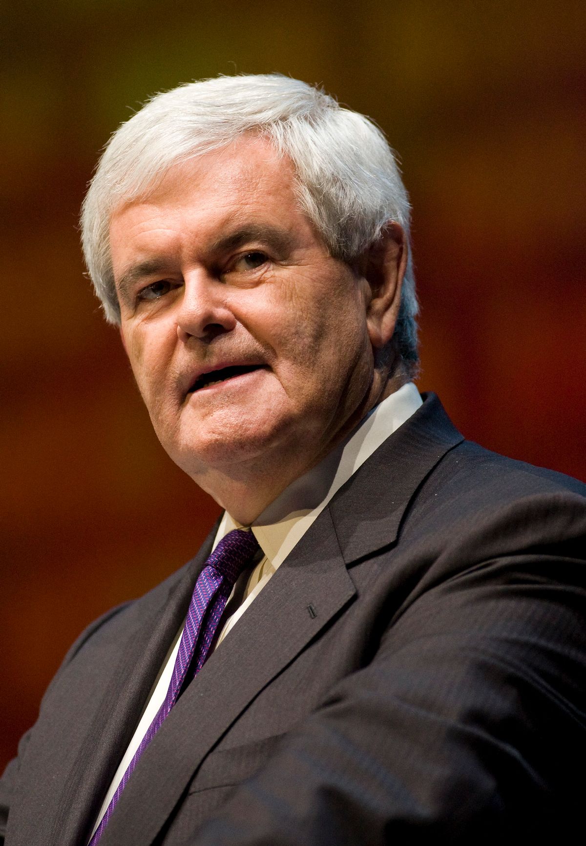 Former Speaker of the House Newt Gingrich speaks during the National Rifle Association's 139th annual meeting in Charlotte, North Carolina on May 15, 2010. REUTERS/Chris Keane (UNITED STATES - Tags: POLITICS) (Reuters)