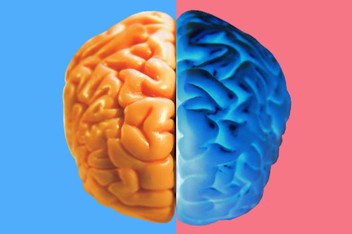 Brain 88. Мозг парня. Мозг мужчины. Отключатель мужского мозга. Мужской мозг переплетение женщин.