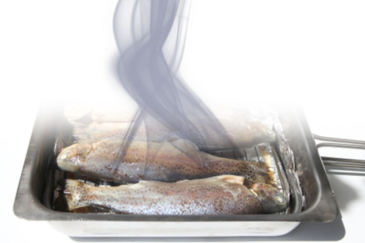 Four fresh trouts in smoker oven. (Patricia Hofmeester)