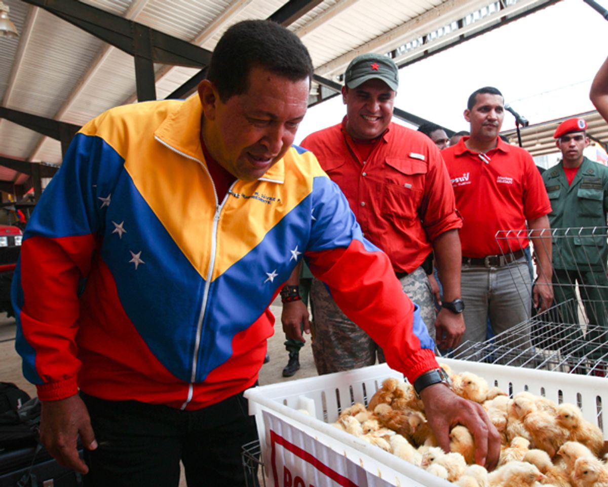 Hugo Chavez          (Reuters)
