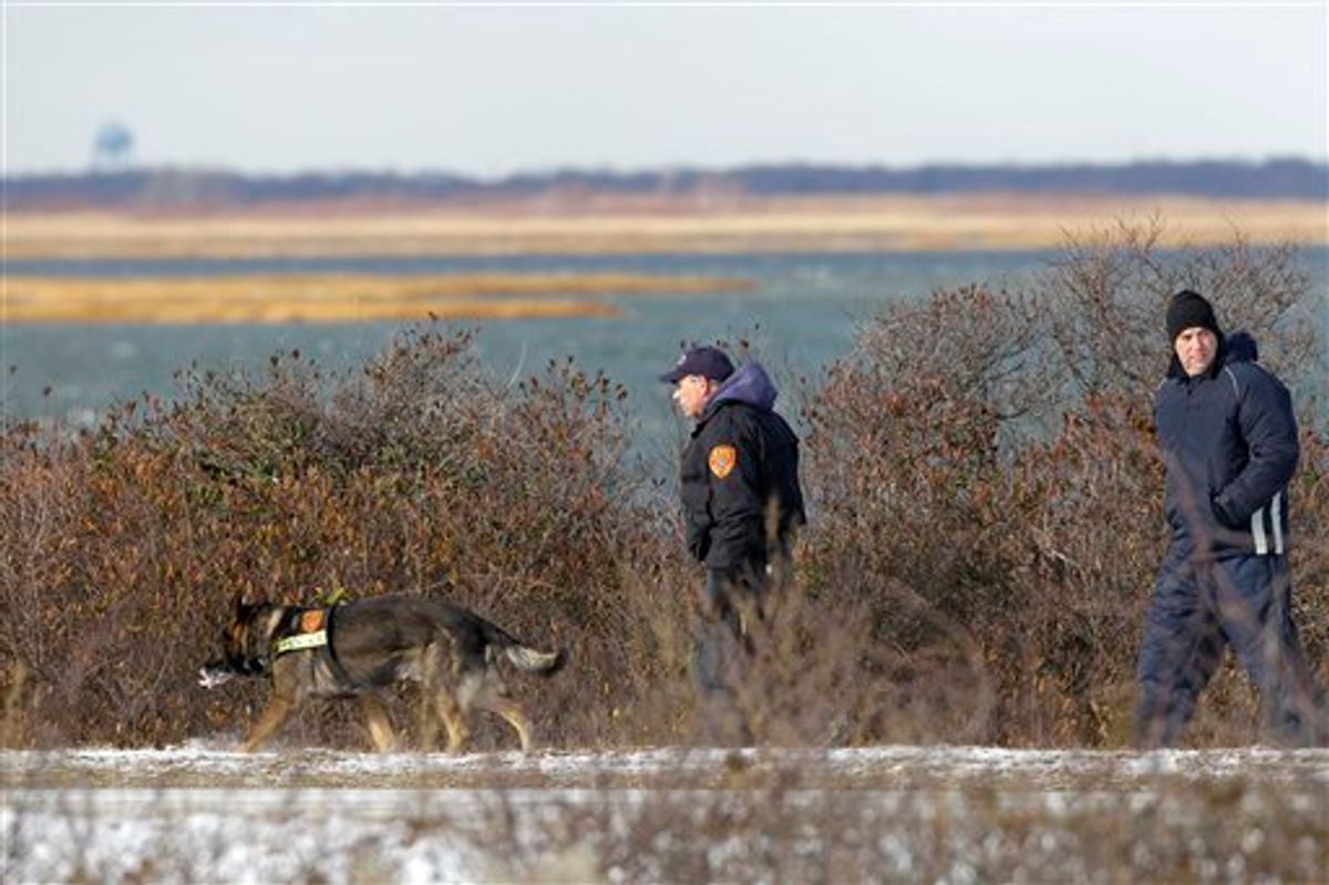 Authorities search in the brush by the side of the road at Cedar Beach, near Babylon, N.Y., Tuesday, Dec. 14, 2010. Police looking for a missing prostitute on Long Island's Fire Island have discovered three bodies and a set of skeletal remains near Oak Beach since Saturday. Investigators are considering the possibility that a serial killer may have dumped four bodies along the same quarter-mile stretch of beachside road, a police chief said Tuesday. (AP Photo/Seth Wenig) (AP)