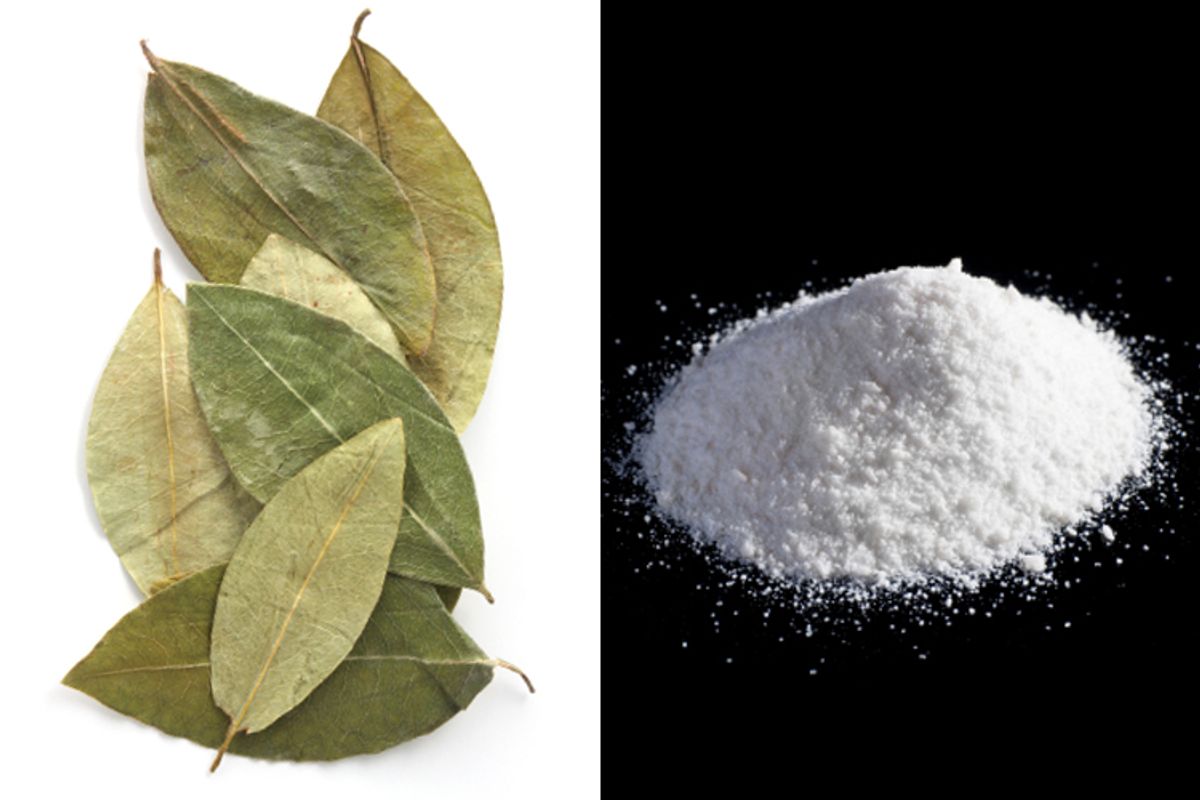 Coca leaves and refined cocaine