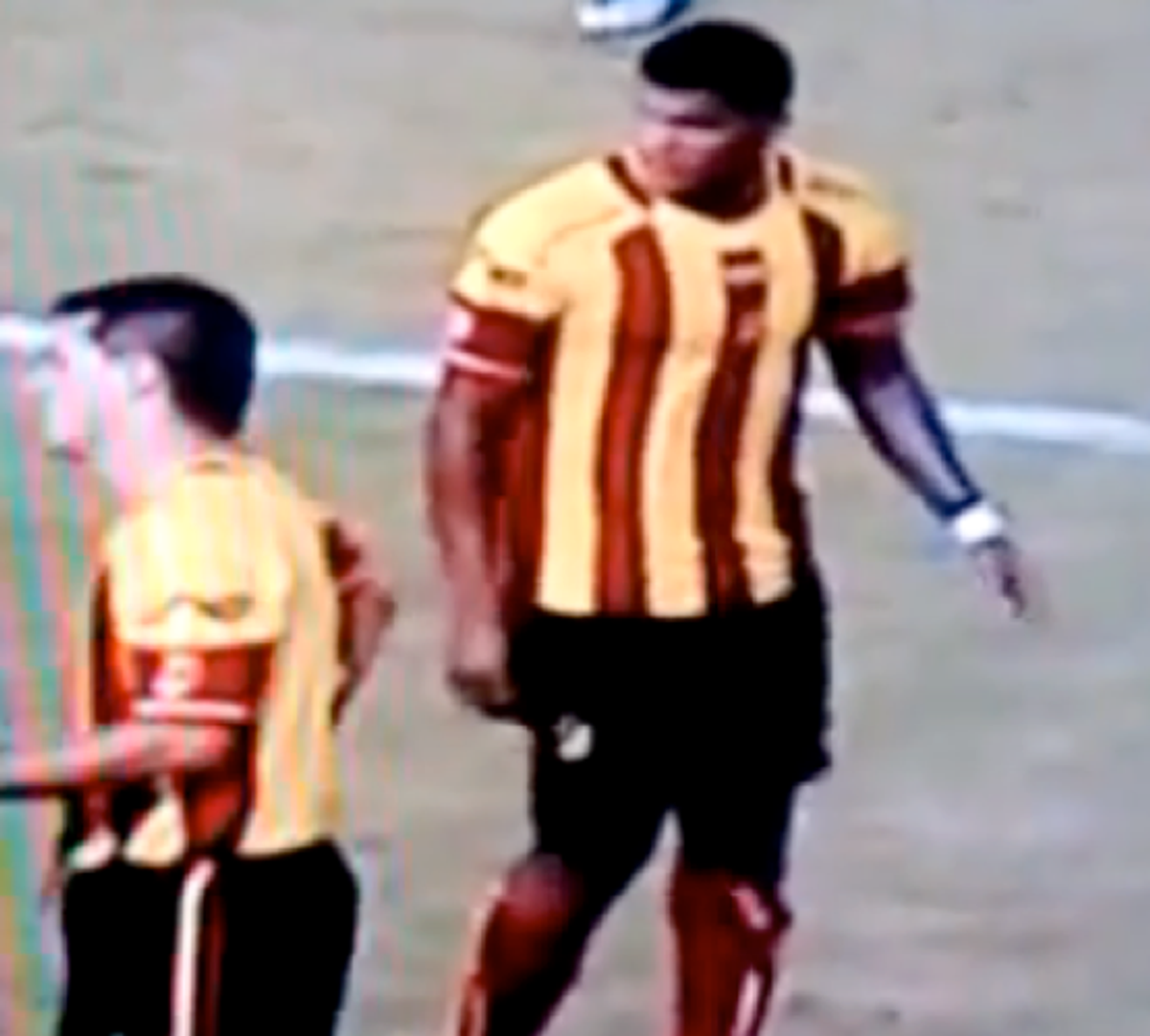 Soccer Fans Ruffled After Player Kicks Owl 