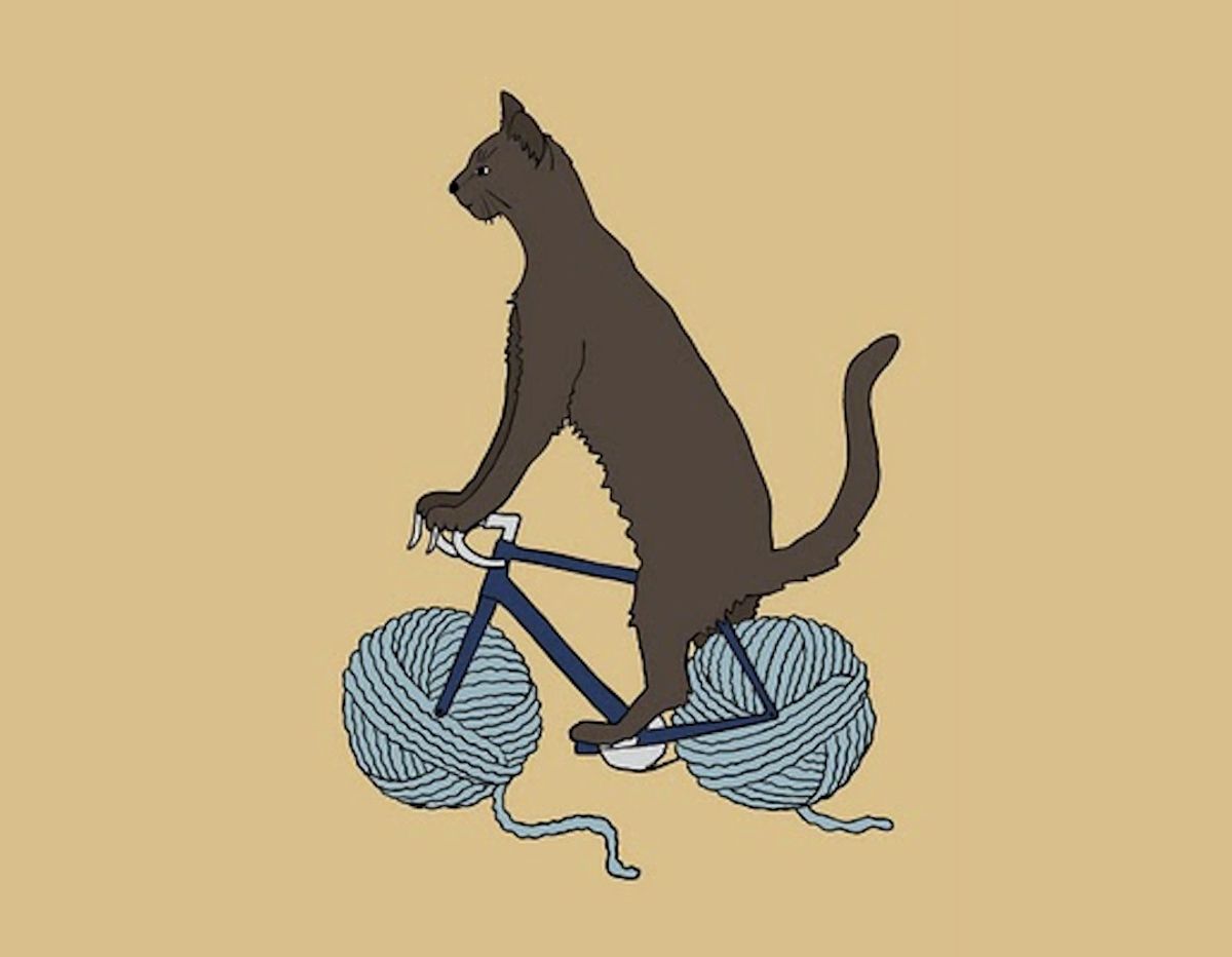 A cat on a yarn bicycle: Best thing ever?