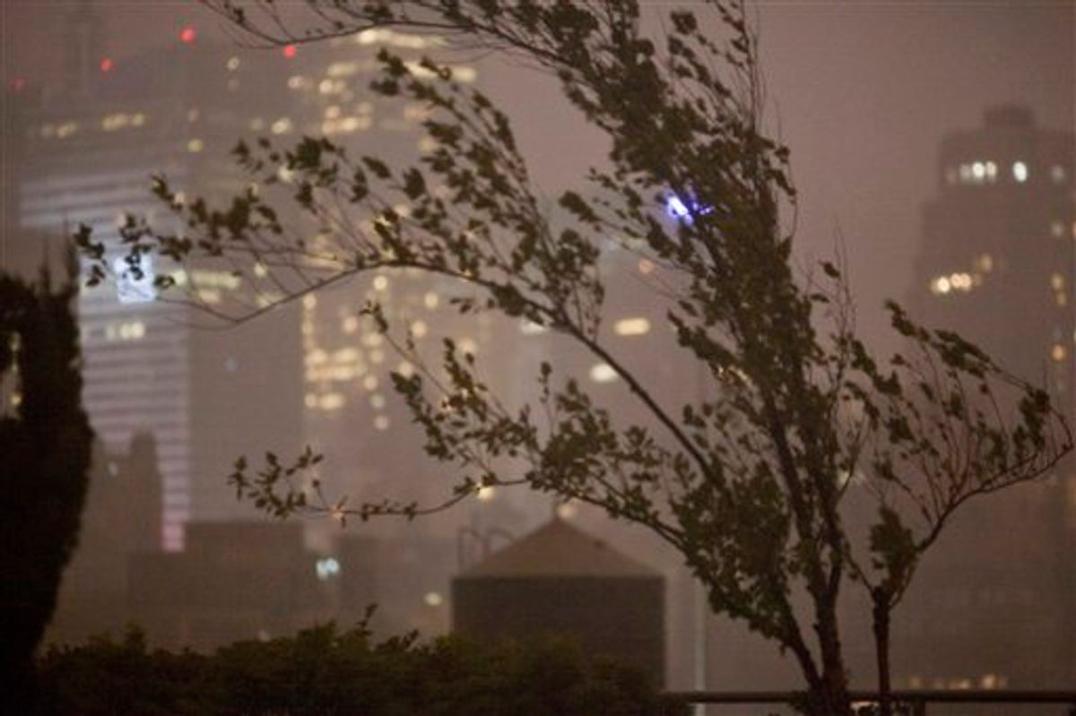 Trees blow in a gust of wind, early Sunday, Aug. 28, 2011, in New York as Hurricane Irene approaches the region. Irene has the potential to cause billions of dollars in damage along a densely populated arc that includes Washington, Baltimore, Philadelphia, New York, Boston and beyond. At least 65 million people could be affected. (AP Photo/Karly Domb Sadof) (AP)