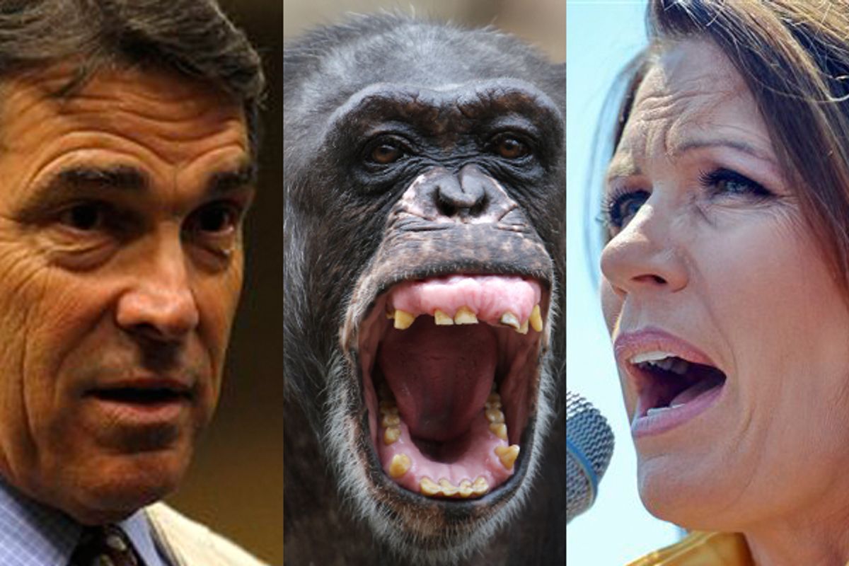 Rick Perry, a chimpanzee and Michele Bachmann